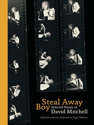 cover image of Steal Away Boy